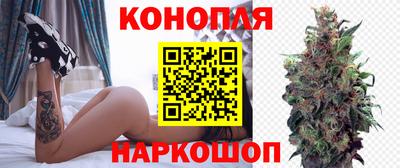 прущие грибы Сланцы