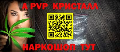 прущие грибы Сланцы