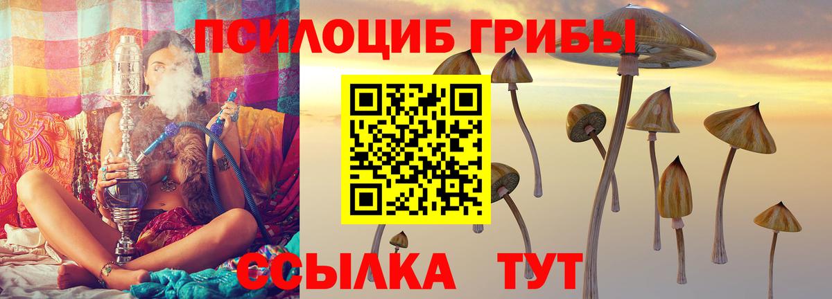 Галлюциногенные грибы Psilocybe  Вход с VPN  Павловский Посад 